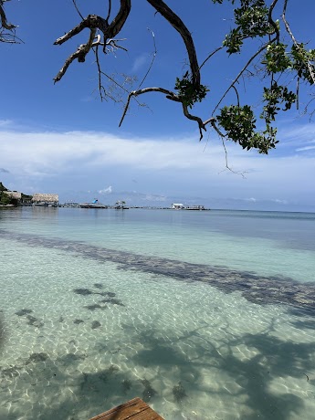 Agencia de viajes y turismo Kely Tours Cartagena · Cartagena de Indias