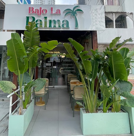 Bajo la palma · Cartagena de Indias